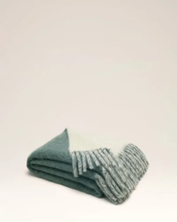 Outlet Bicolor Double-Sided Blanket With Ami Alexandre Mattiussi Tab Women Other Accessories | Ami De Coeur
